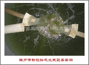 側(cè)入式磁力傳動(dòng)攪拌機(jī)水試實(shí)拍